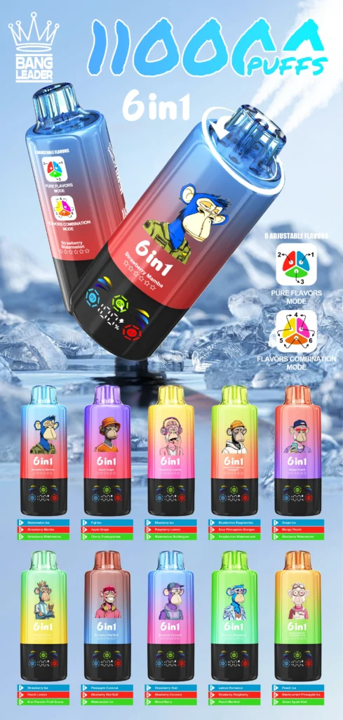 Bang Leader 110K 6in1 jednorazové vape