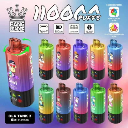 Bang Leader 110K 6in1 jednorazové vape