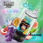 Bang Leader Stoll 100K 4in1 jednorazové vape – produktový pohľad 03