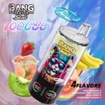 Bang Leader Stoll 100K 4in1 jednorazové vape – produktový pohľad 07