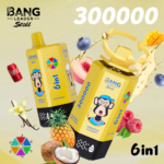 Bang Leader Stoll 300K 6in1 jednorazové vape – produktový pohľad 06