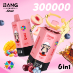 Bang Leader Stoll 300K 6in1 jednorazové vape – produktový pohľad 10