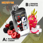 Merry Mi Panda Twins 40K jednorazové vape – produktový pohľad 02